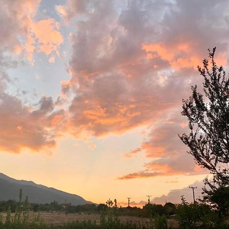 Οlives And Vines All Seasons Villa Litóchoron Ngoại thất bức ảnh